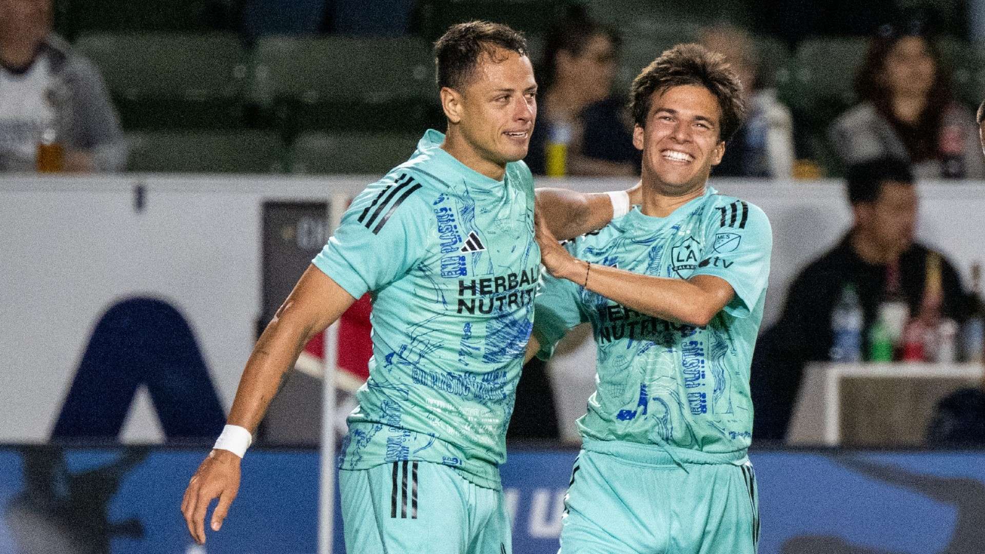 人努力结合 人努力结合