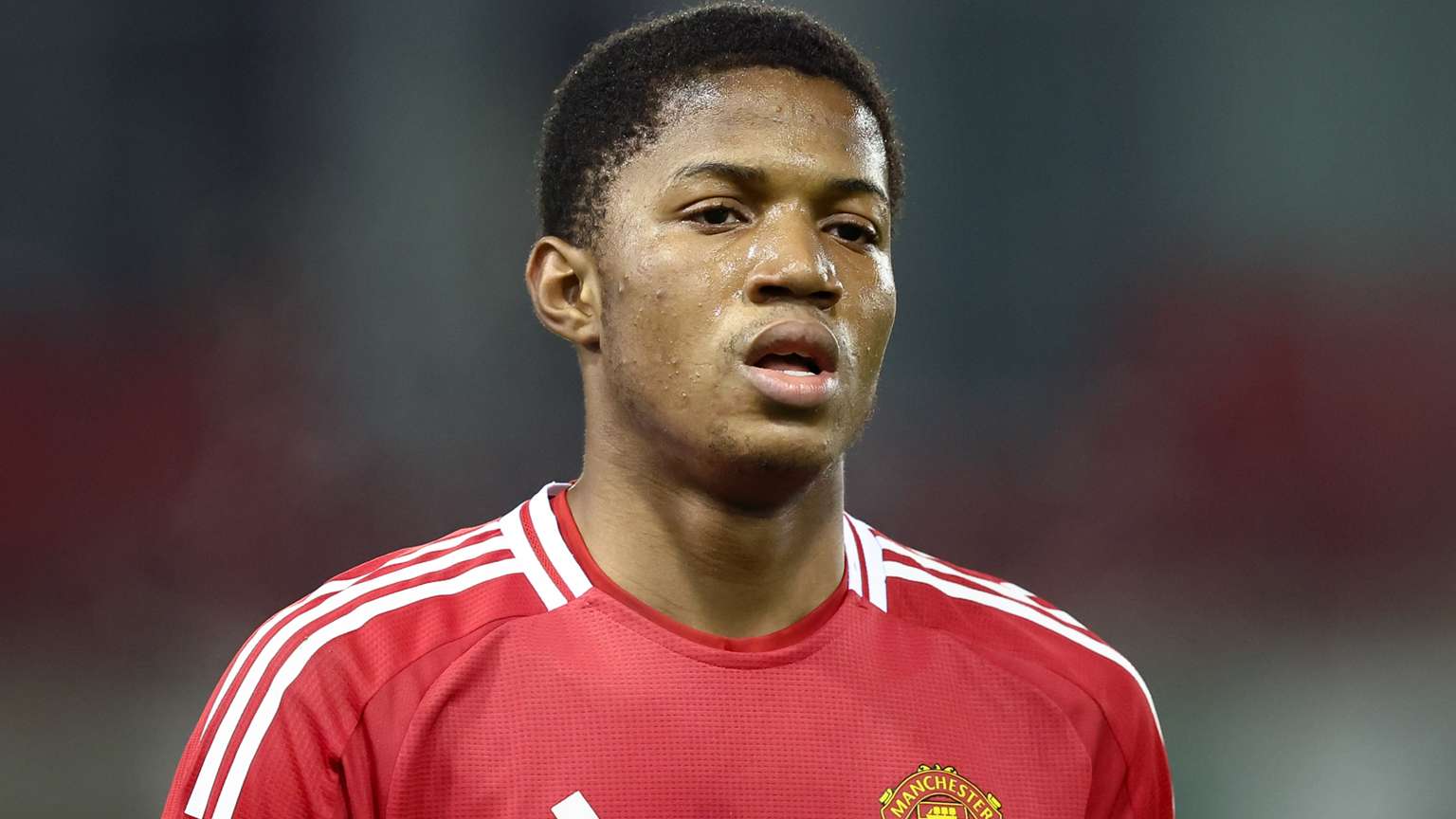 但它也为队 但它也为队